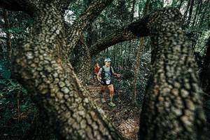 BIB: 
                            <button type="button" onclick="openModal(25392486)" class="btn btn-primary btn-sm float-right btn-popup" data-toggle="modal" data-target=".modal-high-quality">
                        <i class="fas fa-shopping-cart"></i> Add to Cart
                    </button>
                                            <button type="button" onclick="isThisMe(25392486, true)" class="btn btn-success btn-sm float-right btn-popup btn-isme hidden" data-toggle="tooltip" data-placement="bottom" title="นี่คือรูปของคุณใช่ไหม คลิกที่นี่เพื่อเอาเข้าอัลบั้ม">
                        <i class="fas fa-plus"></i> Add to album
                    </button>
                    <button type="button" onclick="isThisMe(25392486, false)" class="btn btn-warning btn-sm float-right btn-popup btn-isnotme hidden">
                        <i class="fas fa-ban"></i> Remove from album
                    </button>